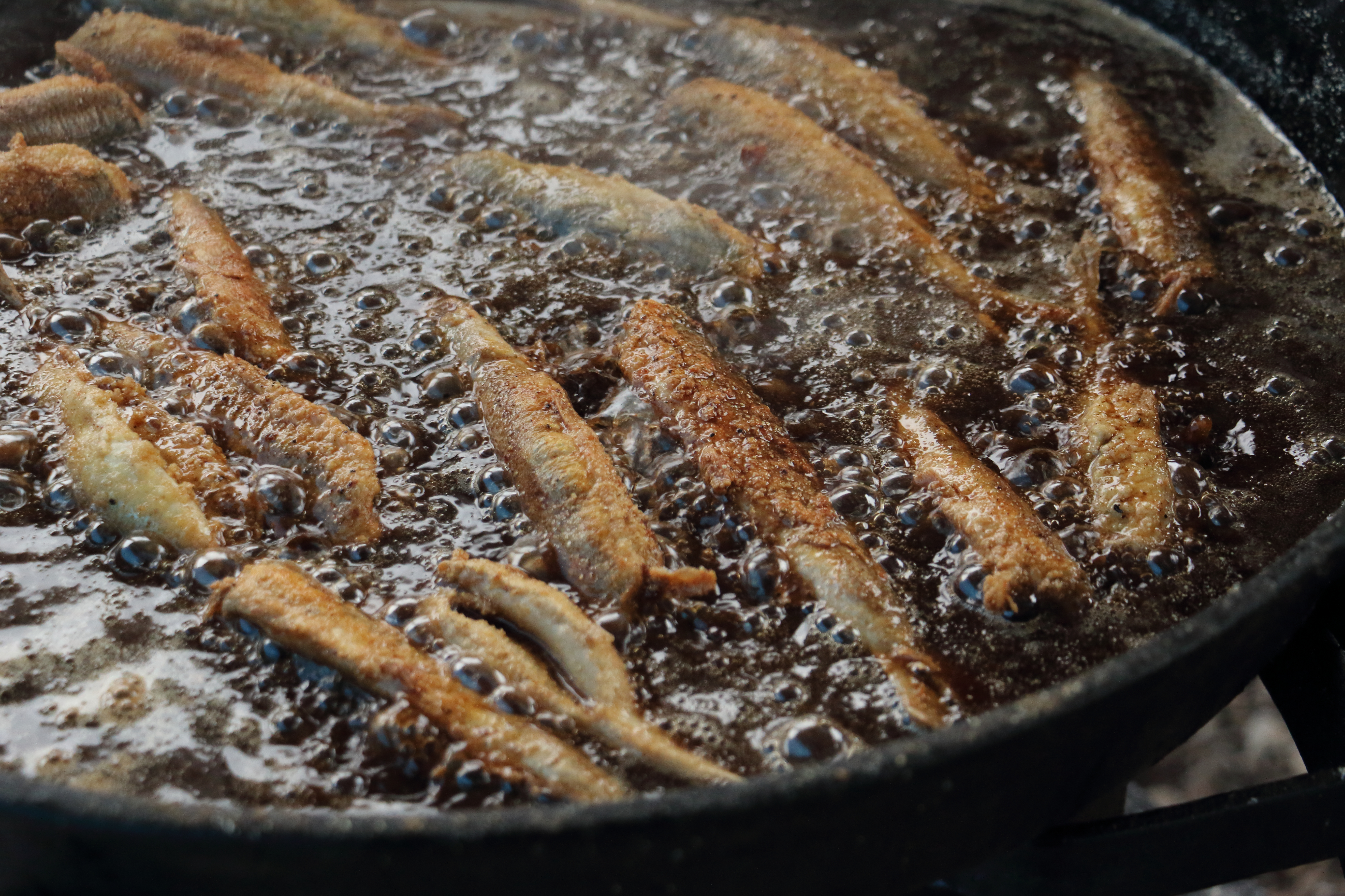 Frying cisco fish on the beach at Bear Lake on the Idaho-Utah border.