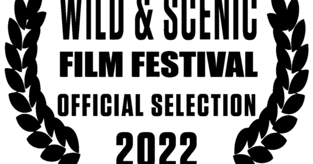 WSFF logo